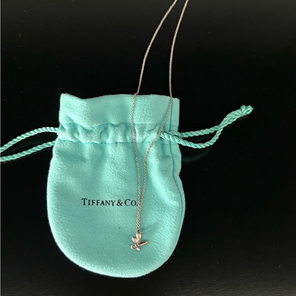 Tiffany & Co. Silver Necklace with olive branch Charm